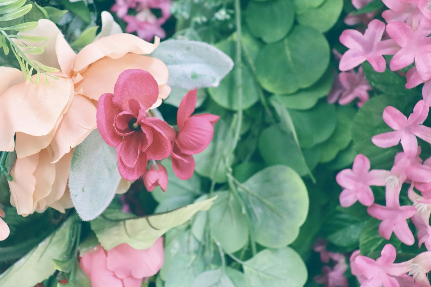 Premium Office Plants Guarantee Better Growth: Testing This Assumption